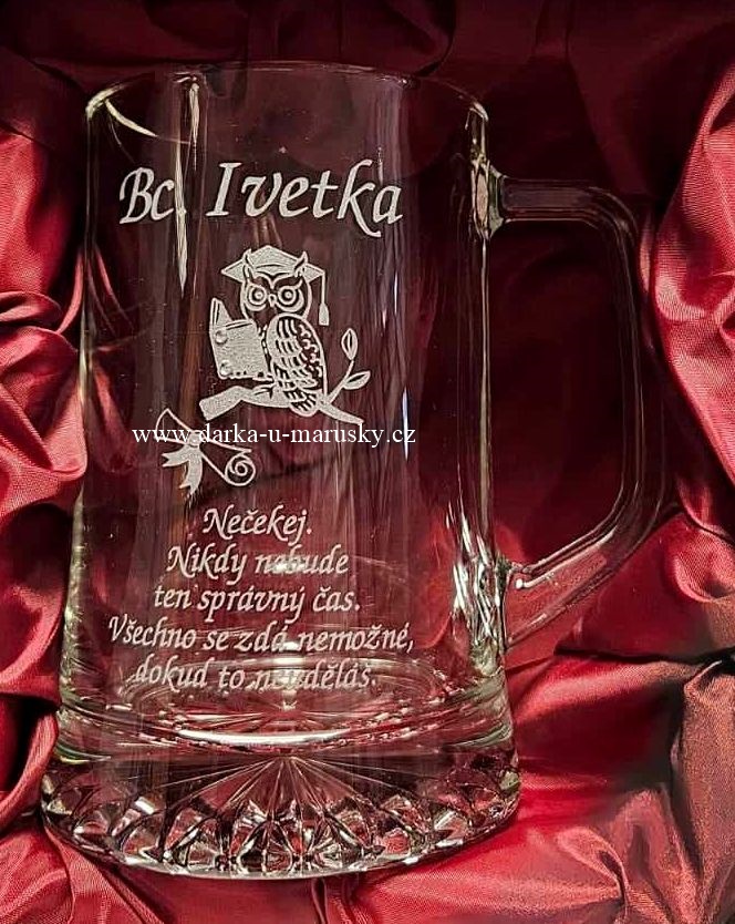 Pískovaný korbel - Sovička č.15 + diplom TB
