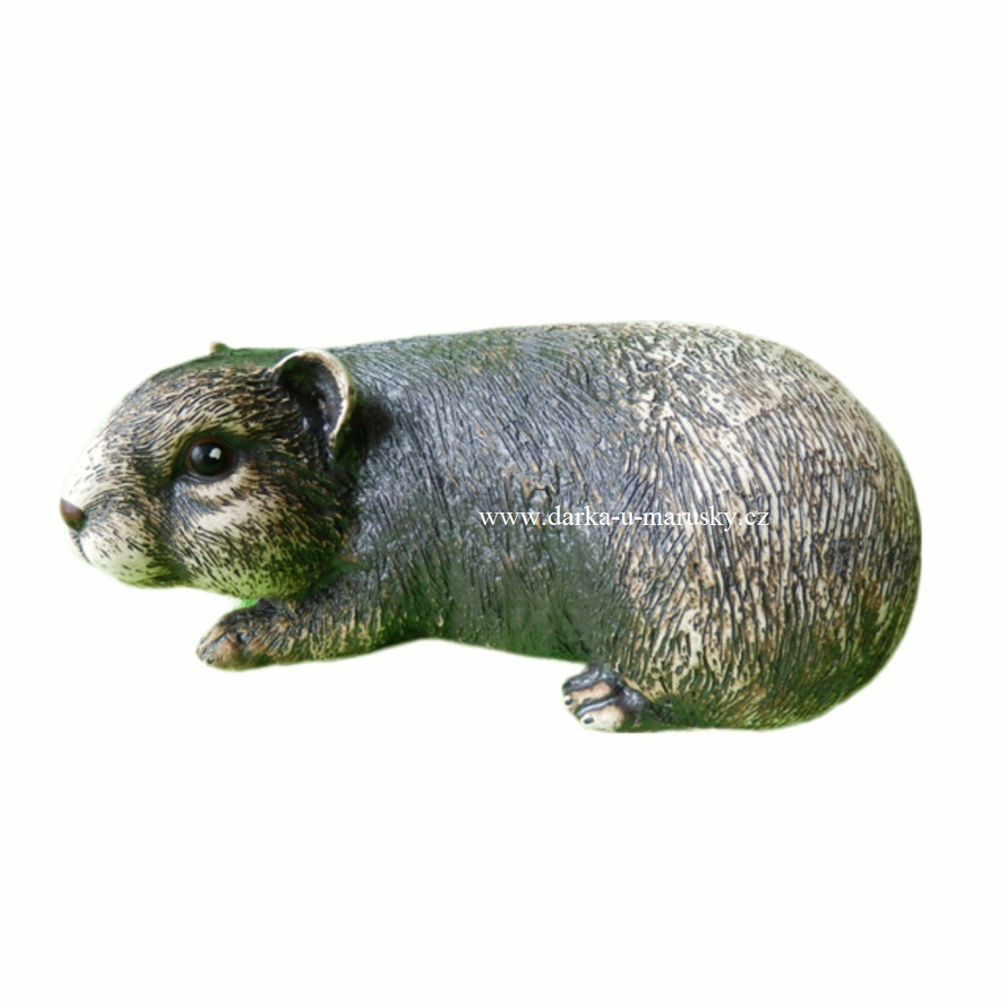 Morče - S