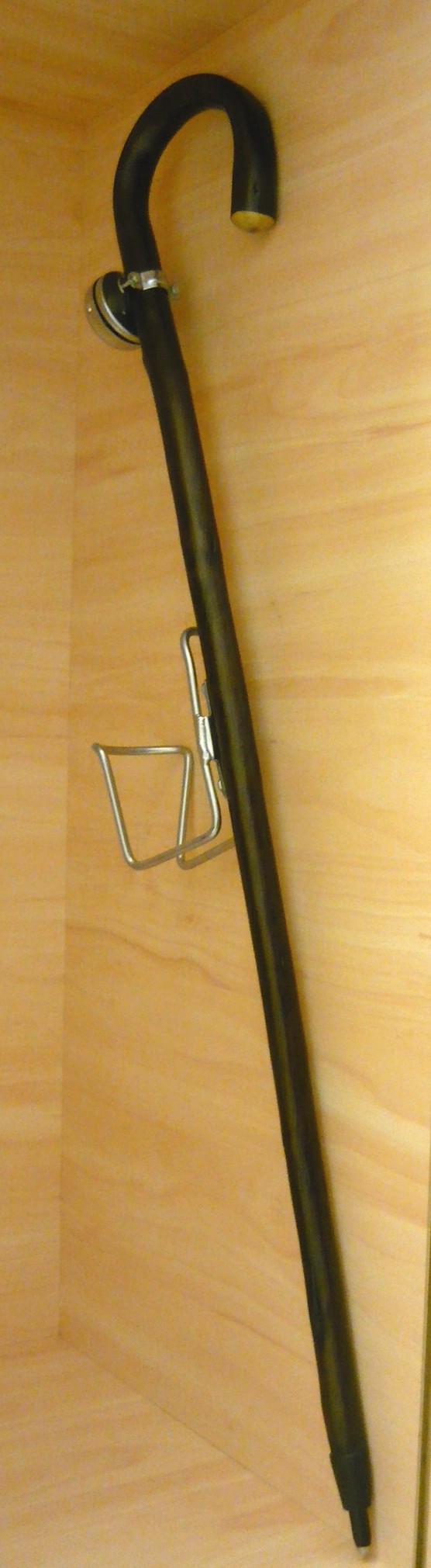 Hůl tmavá