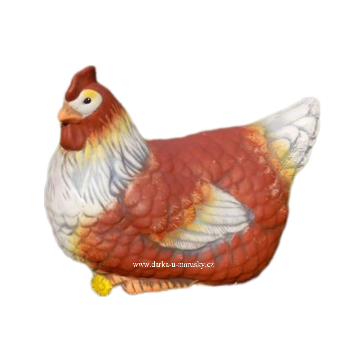 Slepice sedící  - barevná