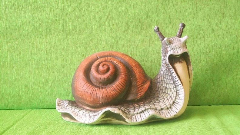 Šnek Toby - barevný