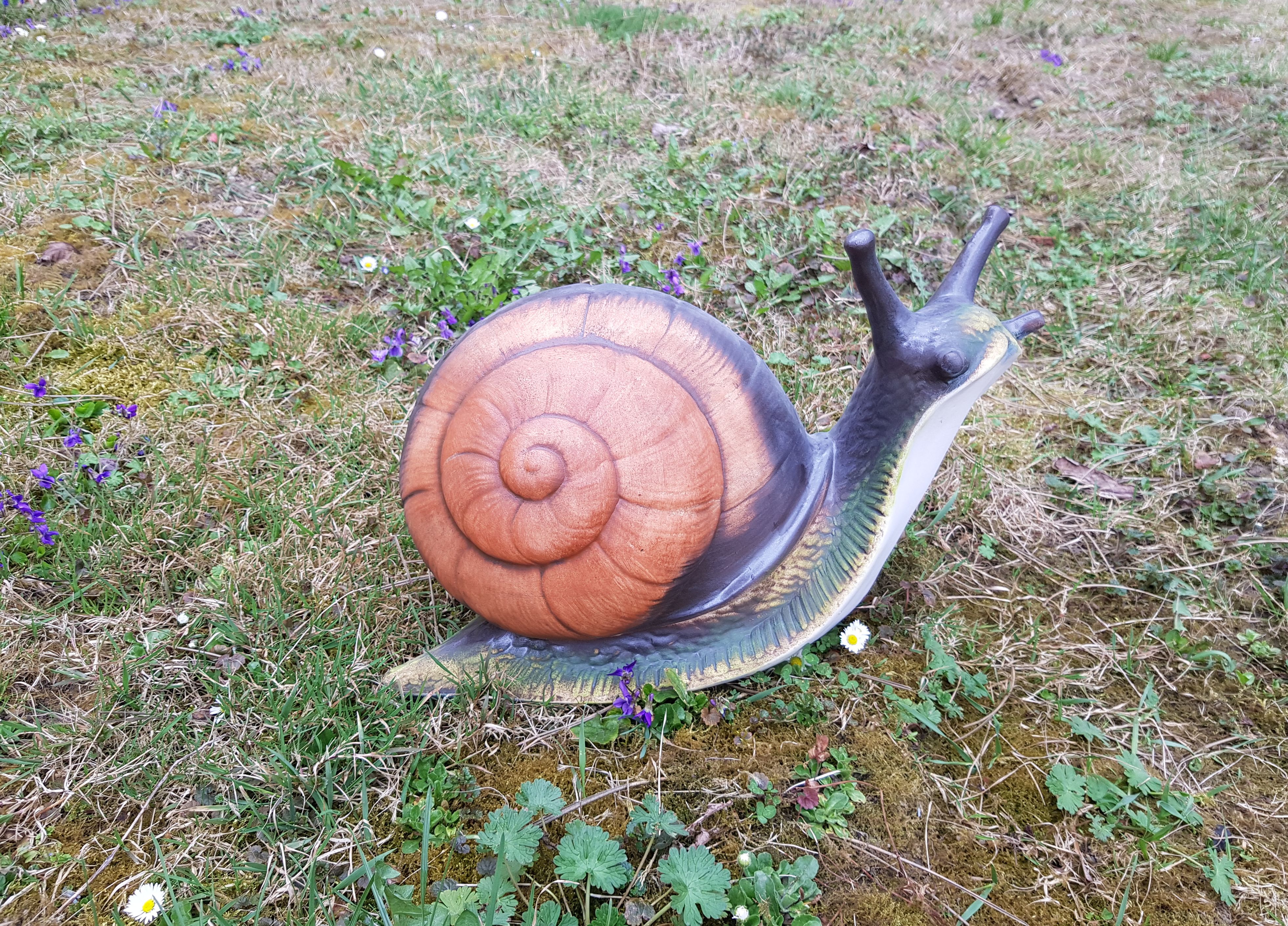 Velký šnek Jonáš - barevný