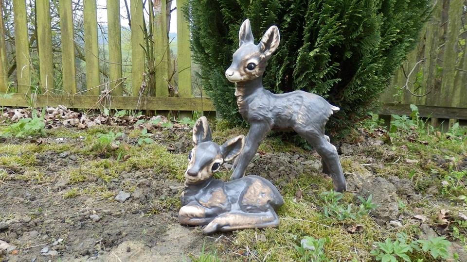 Srna kolouch ležící-S