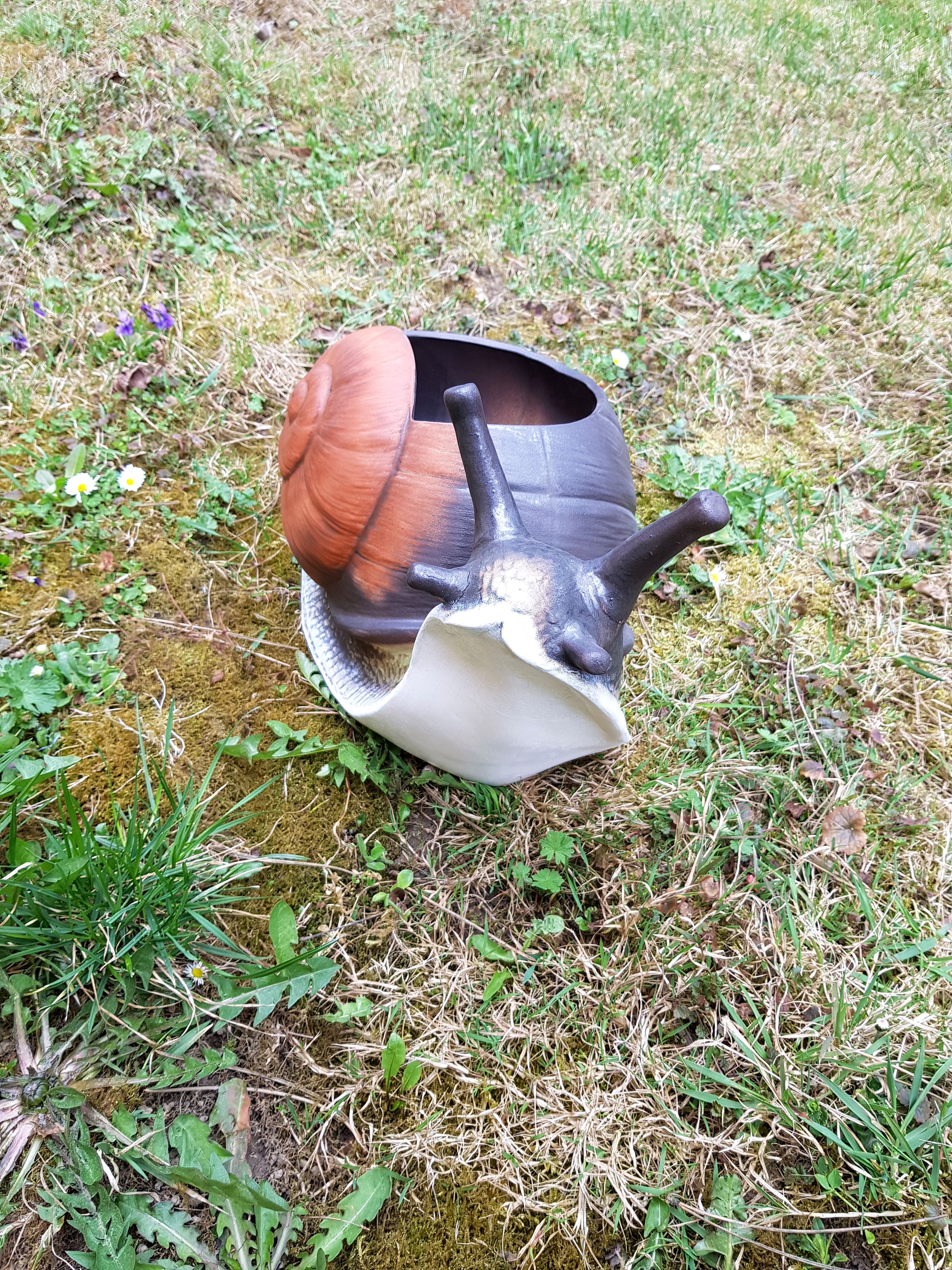 Velký šnek Jonáš osazovací - barevný