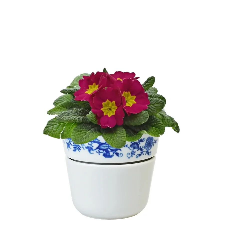 Květináč 11 cm dvoudílný - cibulák
