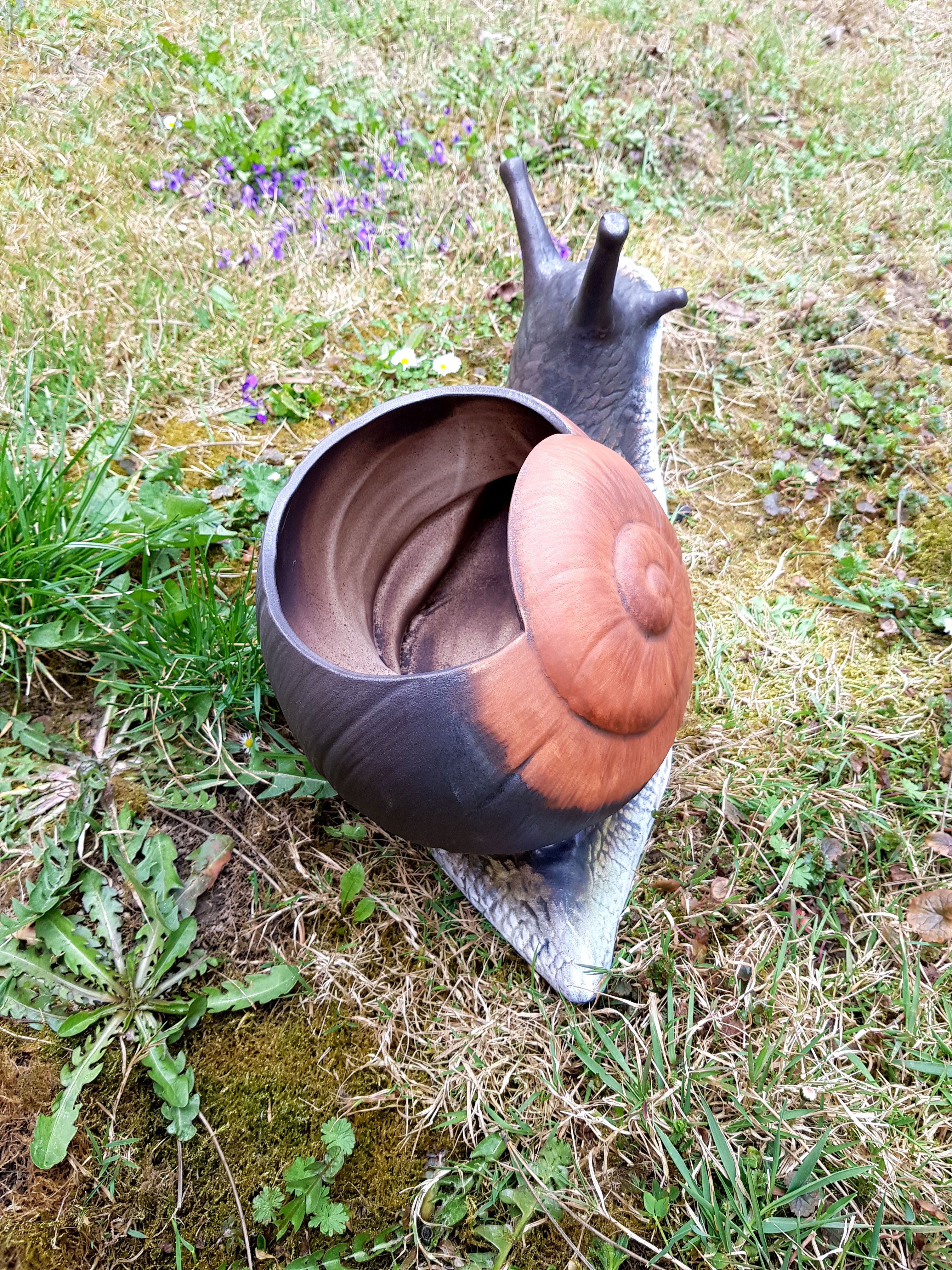 Velký šnek Jonáš osazovací - barevný